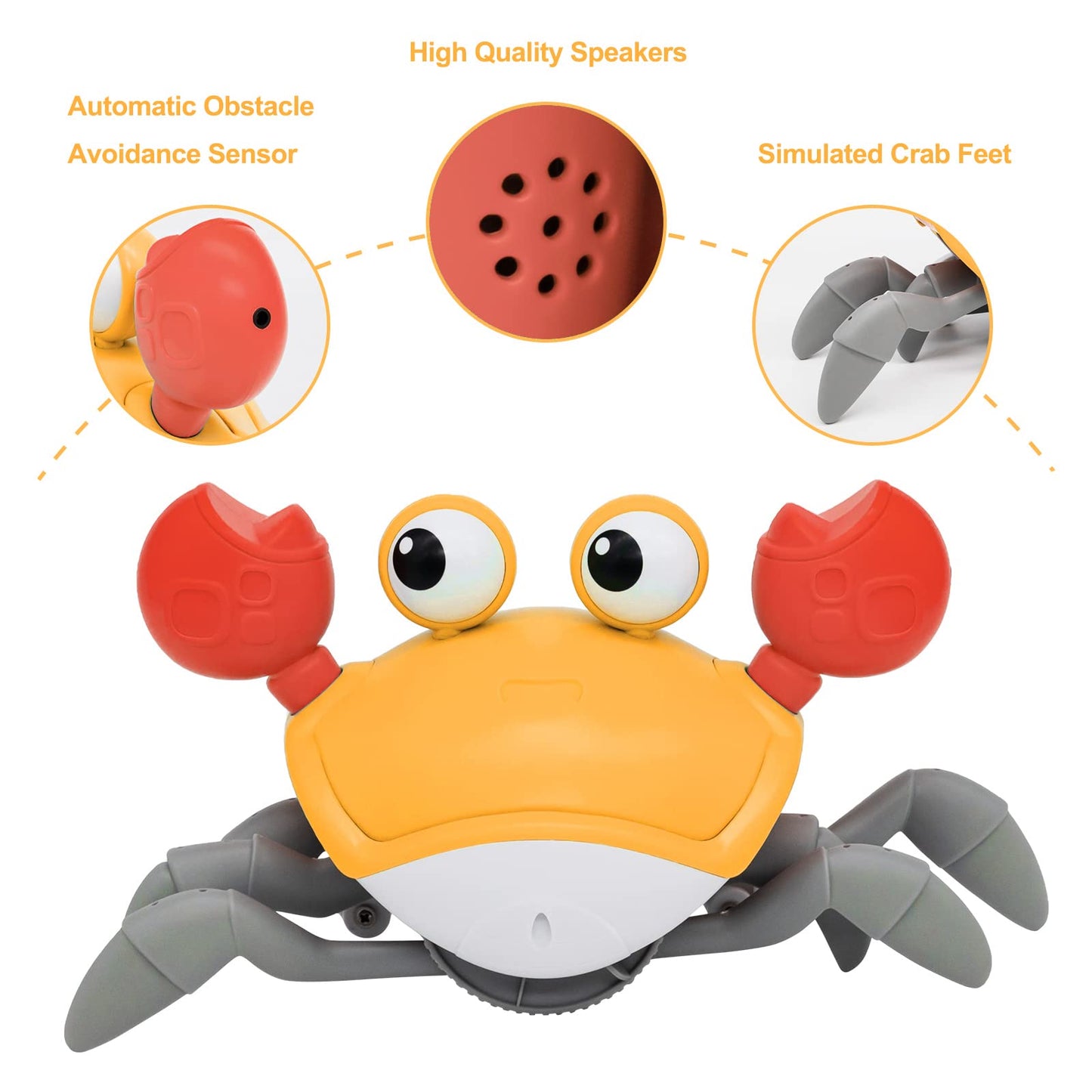 Crab Crawl Adventure Toy